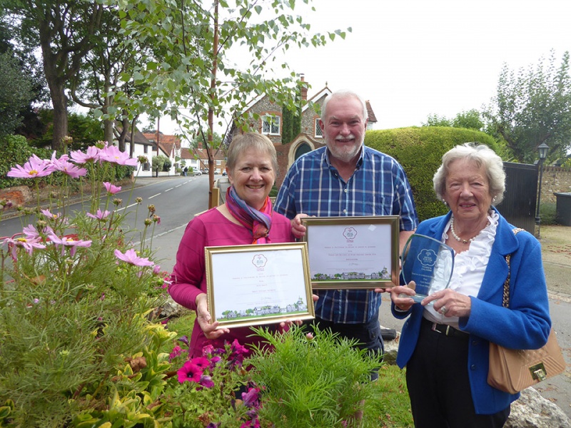 Bray Enhancement Committee members with the 2016 RHS awards
